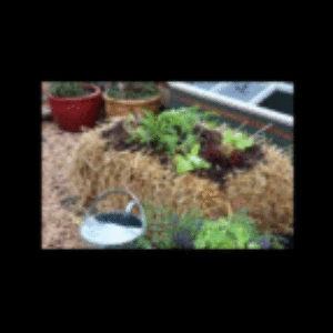 Profile photo of QuakerOats